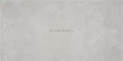 Stylnul (STN Ceramica) Indeed Silver Mt Керамогранит 60x120