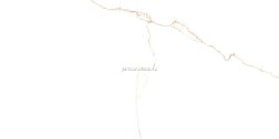 Prissmacer Керамогранит Sg.bianco Mare Gold (luxglass/полуполировка) Rect. 60x120