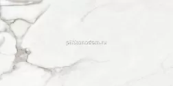 Argenta Ceramica Venato Natural Matt Silk Керамогранит 60x120